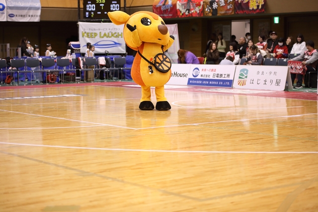 2026/2/15 対鹿児島レブナイズ戦 シカッチェ - 2