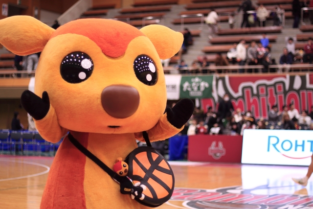 2026/2/14 対鹿児島レブナイズ戦 シカッチェ - 2