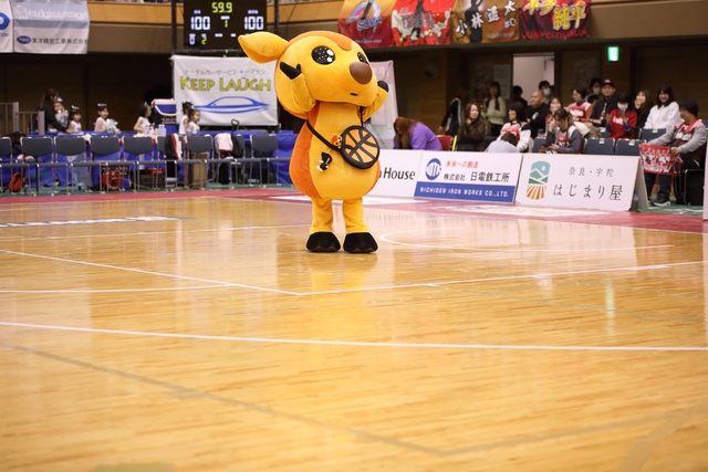 2026/2/15 対鹿児島レブナイズ戦 シカッチェ - 1