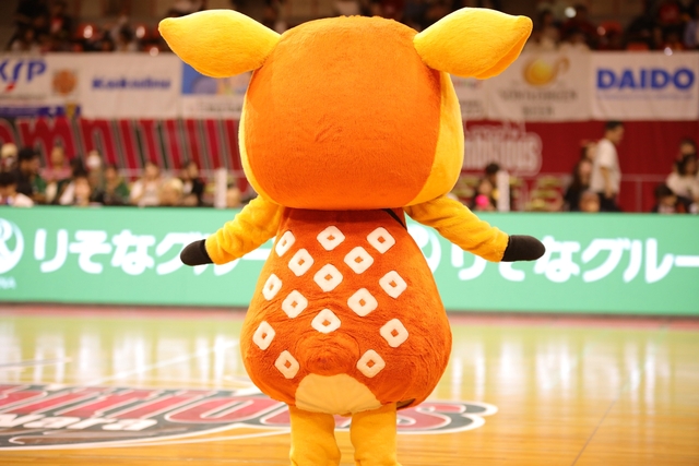 2025/10/12 対神戸ストークス戦 シカッチェ - 1