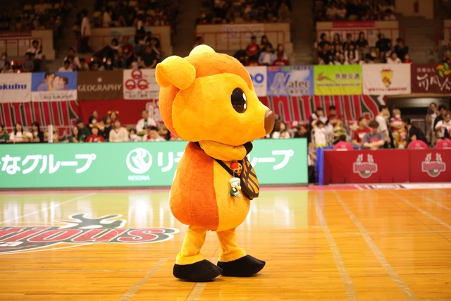 2025/10/12 対神戸ストークス戦 シカッチェ - 2
