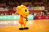 2025/10/12 対神戸ストークス戦 シカッチェ - 2