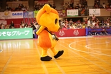 2025/10/12 対神戸ストークス戦 シカッチェ - 3