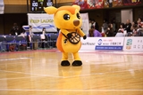 2026/2/15 対鹿児島レブナイズ戦 シカッチェ - 3