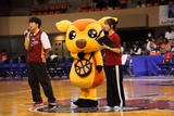 2026/10/14 対新潟アルビレックスBB  - 2
