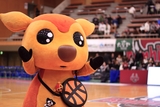 2026/2/14 対鹿児島レブナイズ戦 シカッチェ - 1